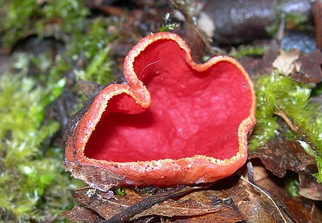 Nel  Regno  della  Jurana